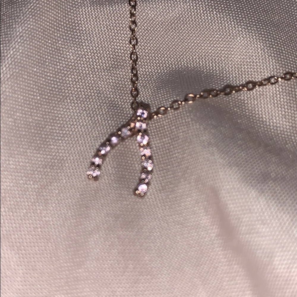 Rose gold pink wishbone necklace